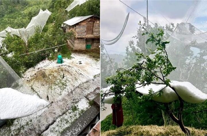 हिमाचल ओलावृष्टि