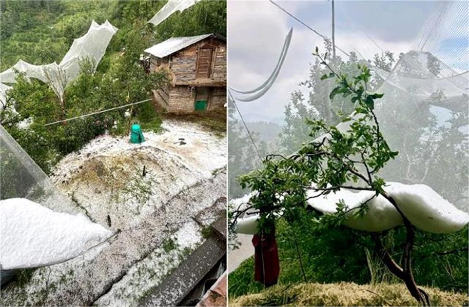 हिमाचल ओलावृष्टि