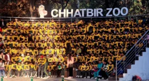 Chhatbir Zoo School Club