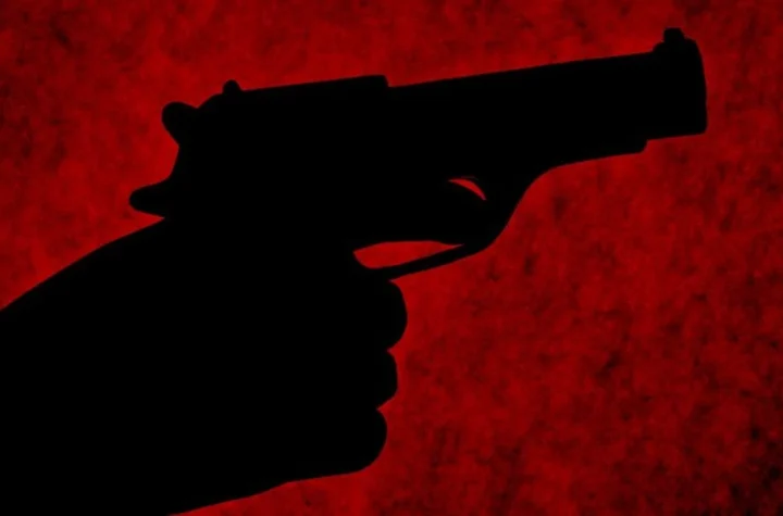 shot dead murder