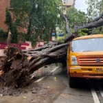 मुंबई में स्कूल बस पर गिरा पेड़