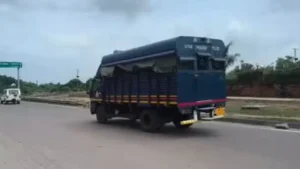 अली अहमद पैरोल