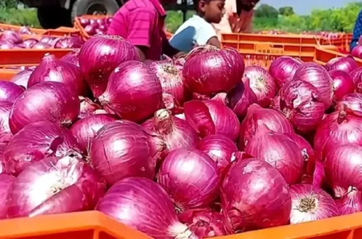 प्याज