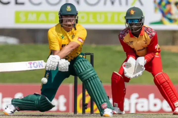 sa vs zim