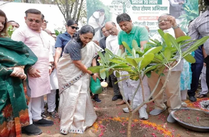 मिशन ग्रीन दिल्ली